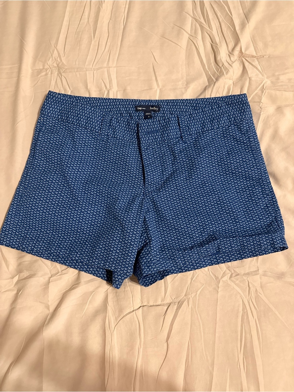 GAP Blue Patterned Women's Shorts - Size 2